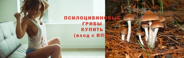 прущие крисы Нягань