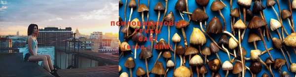тгк Няндома