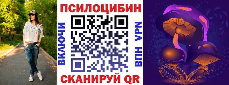 Галлюциногенные грибы MAGIC MUSHROOMS  продажа наркотиков  Севск 